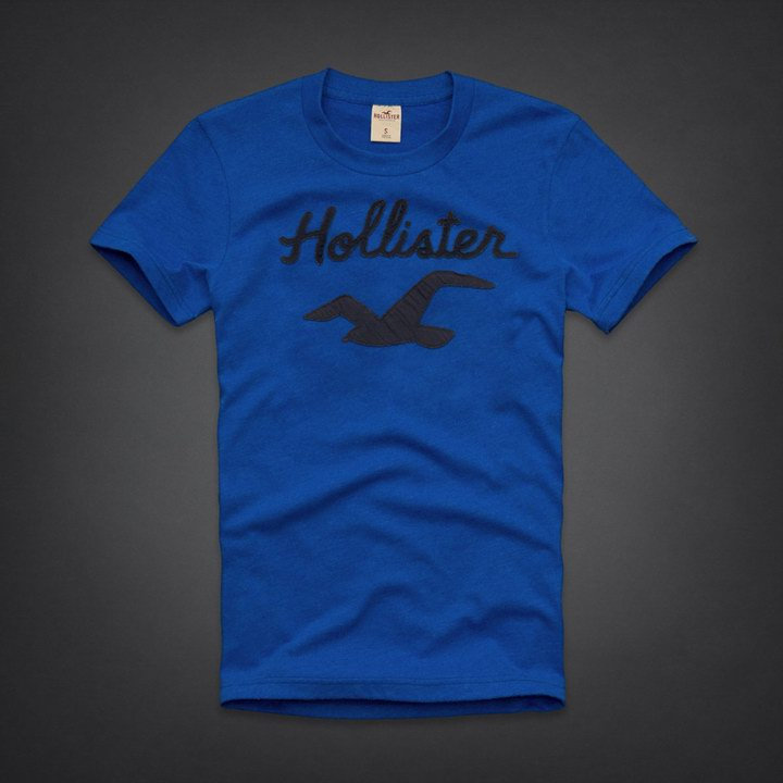 Tee shirt Hollister Homme Bleu